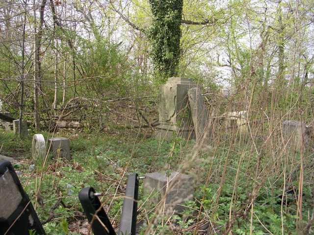 MethodistCemeteryJamaicaHollandPlot