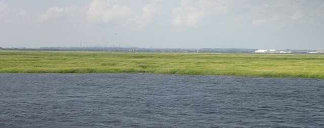 JoCo Marsh