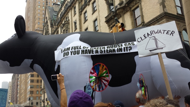 There was some topical self-promotional flair, though not quite as grand as the Macy's balloons.  A documentary, "Cowspiracy," wanted everyone to get their message.  