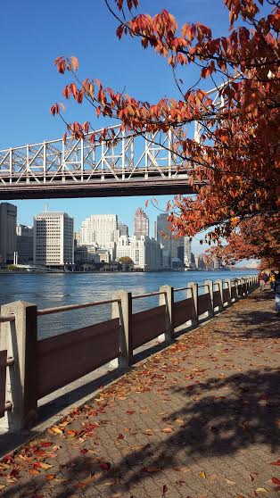 Ed Koch-Queensboro Bridge viewed from Roosevelt Island.